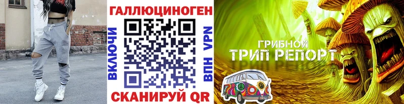 Галлюциногенные грибы Magic Shrooms  Казань 